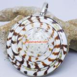 Pendant Shell bali silver bead