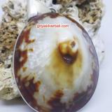 Pendant Shell bali silver bead